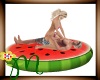 *M* Watermelon float