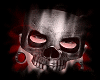 5C Metal Skull