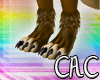 [C.A.C] Andras Paws