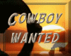 cowboy wanted