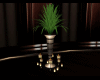 Vase With Candles