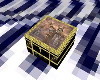 Bastets' Treasure Box
