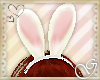 G- Easter Bunny Ears