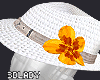 DY*Hat Summer v5