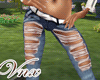 Sexy Jean CowGirl