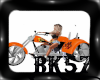 *BK*Harley Trike