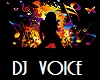 DJ Voice