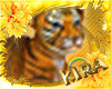 |Kira| Bengal Tiger Cub