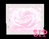 Sweet Framed Pink Rose