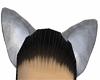 {S.C.}Storm Wolf Ears