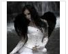 dark angel