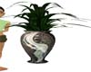 vettes potted plant