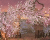 *Spring Blooming Ruin*