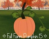 Fall Farm Pumpkin 15