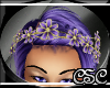 {CSC} NSCoronation Crown