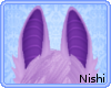 [Nish] Auction Ears