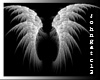 Ghostly Angel wings anim