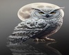 Gryffn Owl Art 5
