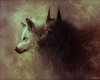 *JW* Wolf Art Painting