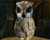 [A] Owl - Animated