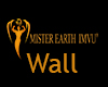 Wall Mister Earth