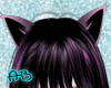 [AB]I'm cute cat