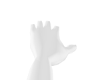 BDA Flag