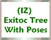 (IZ) Exotic Tree wPoses