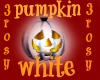 pumpkin  white 