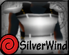 Silver Armor