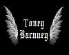 |S&M| ToneyBarnney SIGN