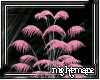 [SN] Morbid Candy Plant