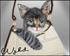Cozy Fall Kitten Bag