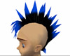 Mohawk Black, Blue Tips