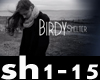birdy - shelter vb
