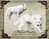 White Wolves