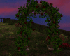 Celtic Arch Roses