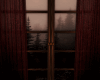 I. Lily Window