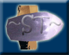 ~ST~Lightning Shield
