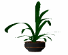 J|Plant in Dark Vase