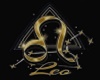 Leo T Shirt