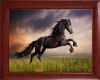 SE-Framed Horse Art V4