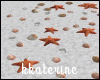 SeaShells
