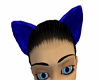 Dark Blue cat ears