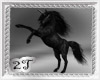 ~2T~ Black Horse