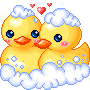 2 LIL DUCKS