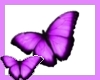 Tilted Butterfly Logo