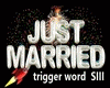 GM Just Married Silver