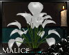 -l- (DD) Vase of Lilies