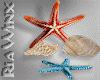 Seashells & Starfish V2